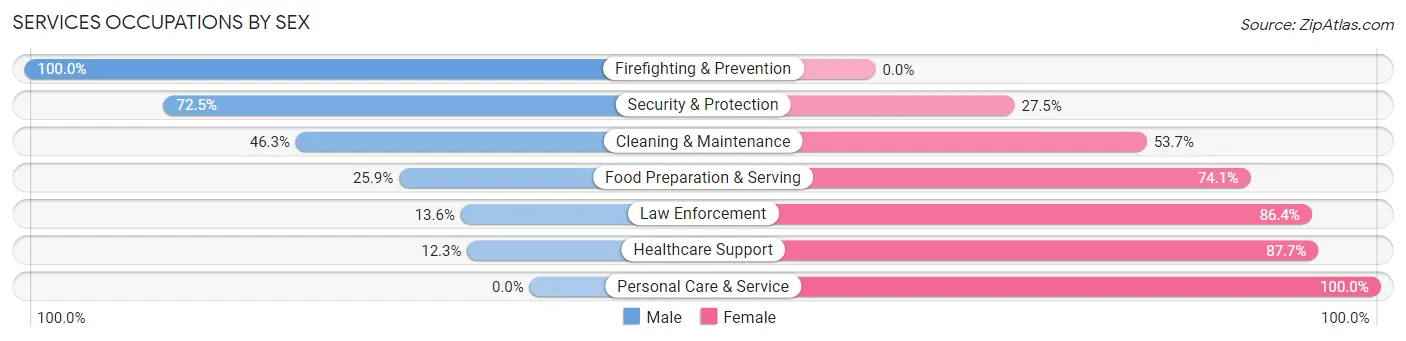 Services Occupations by Sex in Chicot County