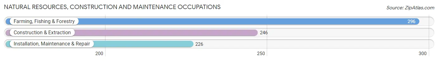 Natural Resources, Construction and Maintenance Occupations in Clay County