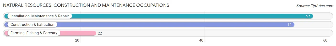 Natural Resources, Construction and Maintenance Occupations in Dallas County