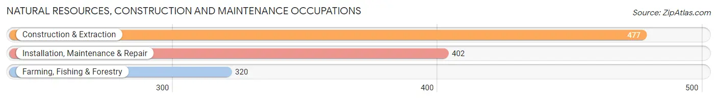 Natural Resources, Construction and Maintenance Occupations in Hempstead County