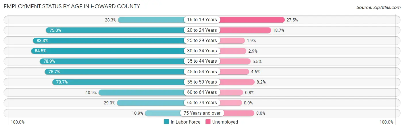 Employment Status by Age in Howard County