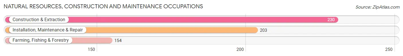 Natural Resources, Construction and Maintenance Occupations in Izard County