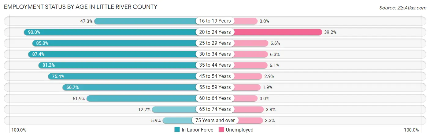 Employment Status by Age in Little River County