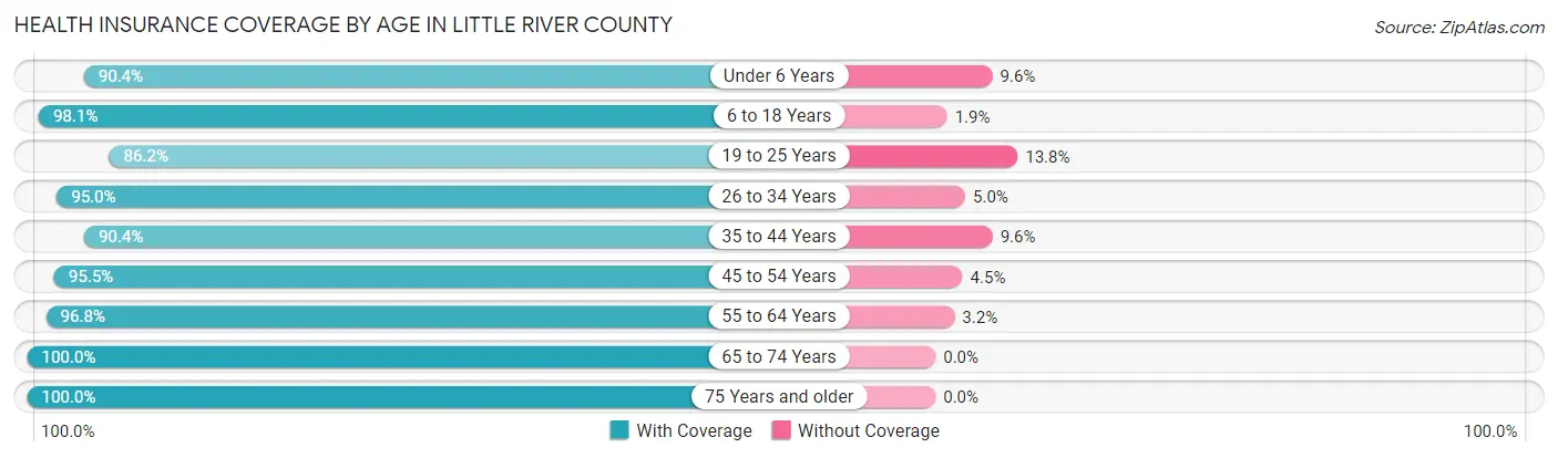 Health Insurance Coverage by Age in Little River County