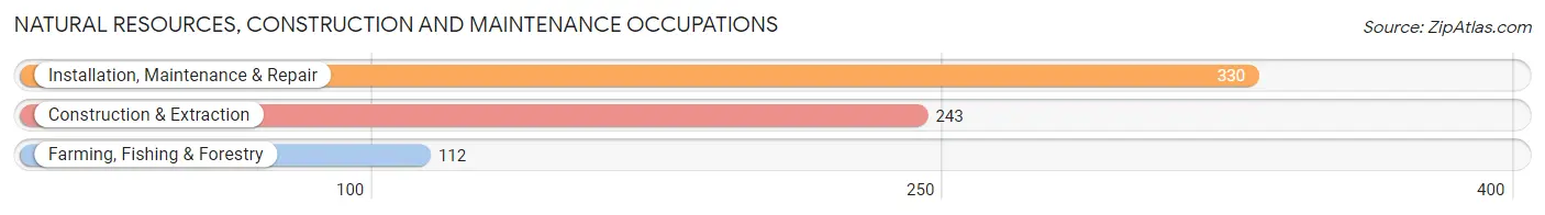 Natural Resources, Construction and Maintenance Occupations in Marion County