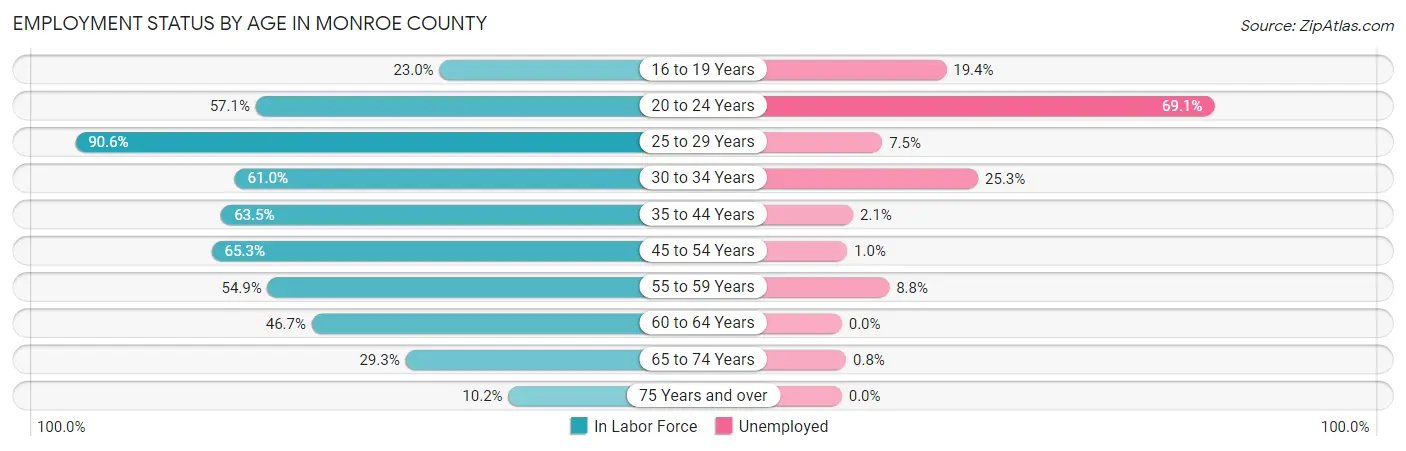 Employment Status by Age in Monroe County