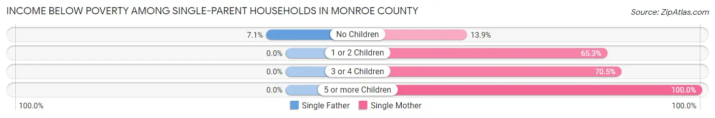 Income Below Poverty Among Single-Parent Households in Monroe County