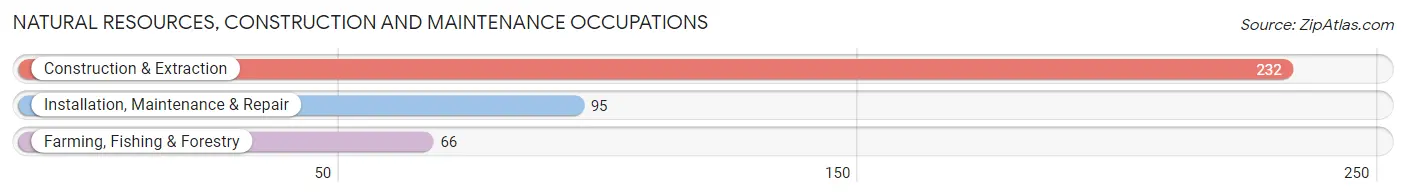 Natural Resources, Construction and Maintenance Occupations in Montgomery County
