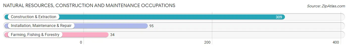 Natural Resources, Construction and Maintenance Occupations in Newton County