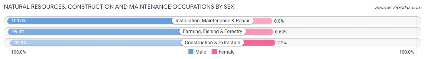 Natural Resources, Construction and Maintenance Occupations by Sex in Randolph County