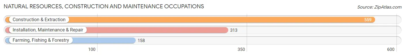 Natural Resources, Construction and Maintenance Occupations in Randolph County