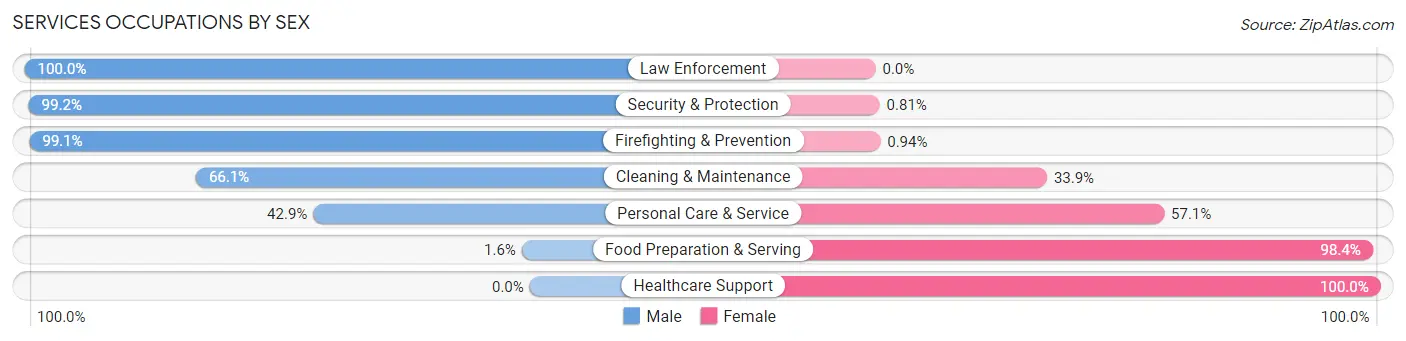 Services Occupations by Sex in Sevier County