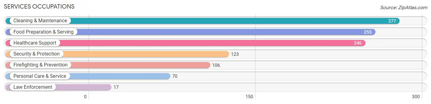Services Occupations in Sevier County