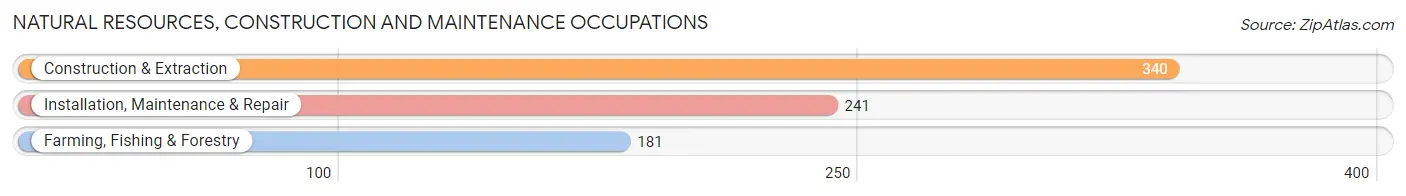 Natural Resources, Construction and Maintenance Occupations in Stone County