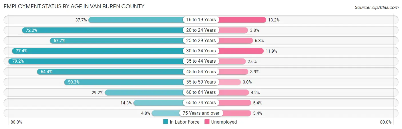 Employment Status by Age in Van Buren County