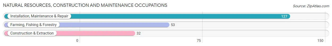 Natural Resources, Construction and Maintenance Occupations in Woodruff County