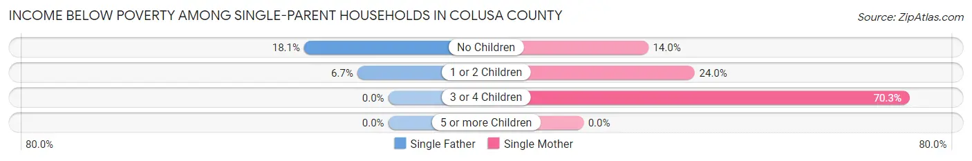 Income Below Poverty Among Single-Parent Households in Colusa County