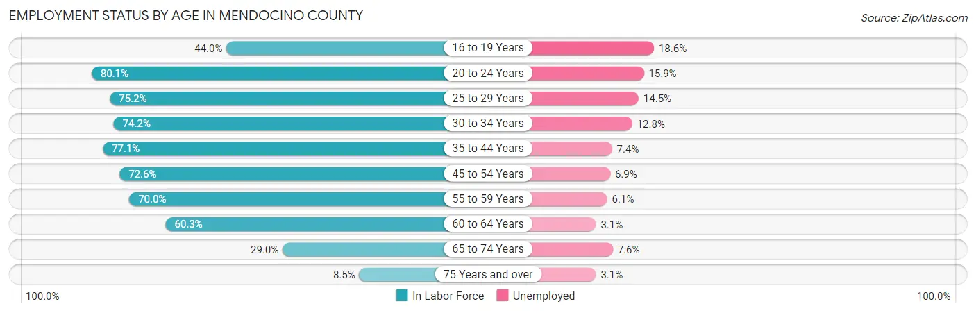 Employment Status by Age in Mendocino County
