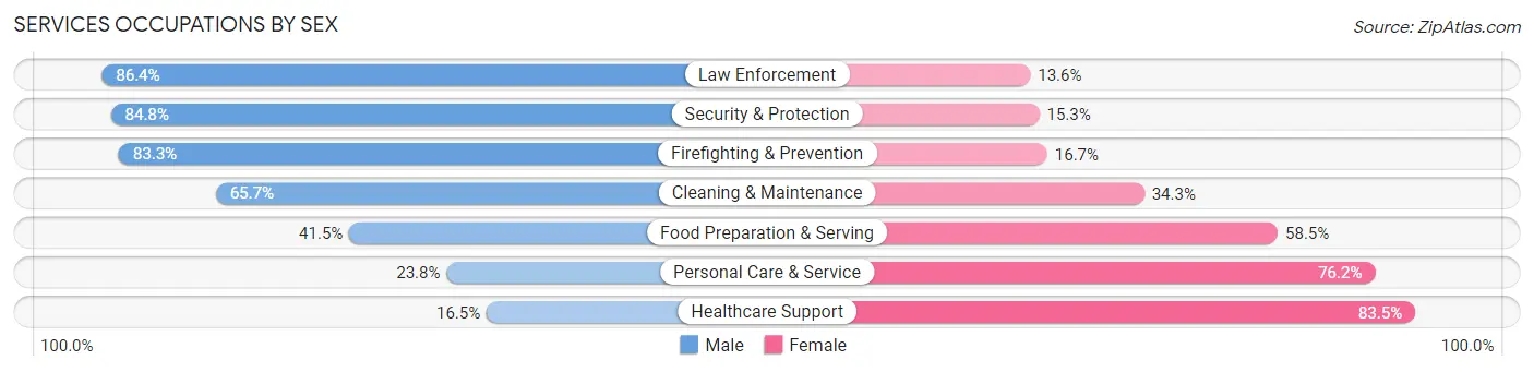 Services Occupations by Sex in Stanislaus County