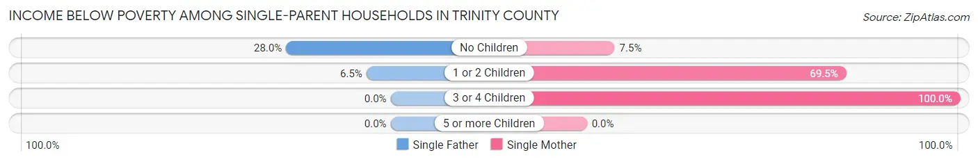 Income Below Poverty Among Single-Parent Households in Trinity County