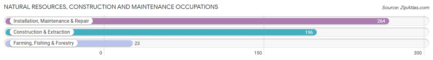 Natural Resources, Construction and Maintenance Occupations in Clear Creek County