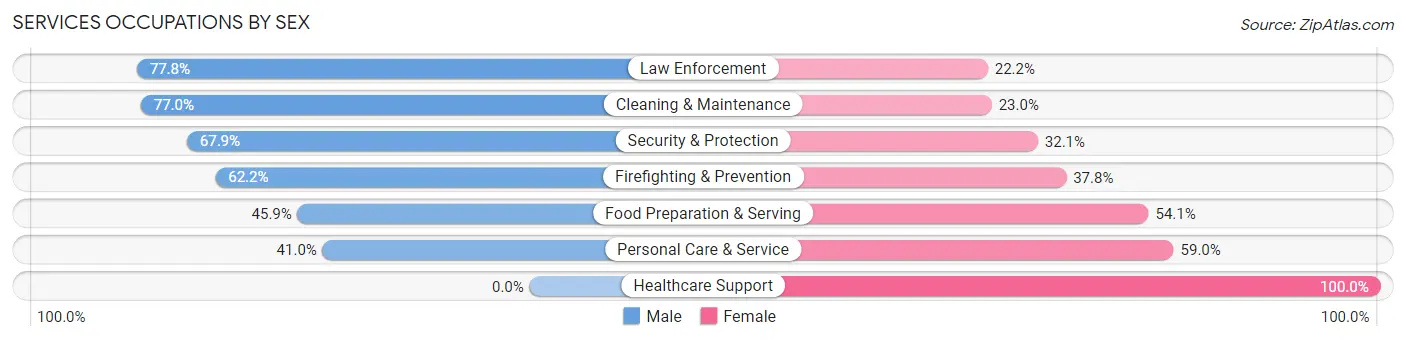 Services Occupations by Sex in Clear Creek County