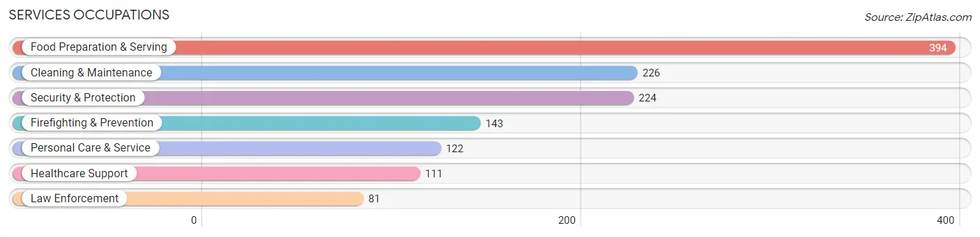 Services Occupations in Clear Creek County