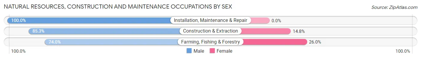 Natural Resources, Construction and Maintenance Occupations by Sex in Conejos County