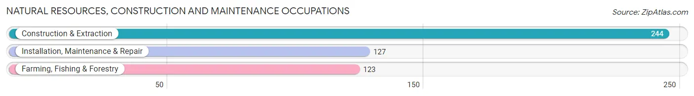 Natural Resources, Construction and Maintenance Occupations in Conejos County