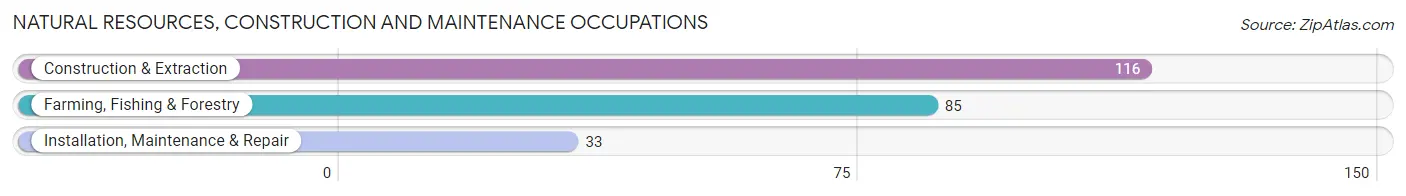 Natural Resources, Construction and Maintenance Occupations in Costilla County