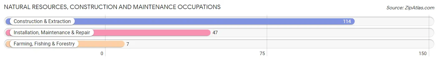 Natural Resources, Construction and Maintenance Occupations in Dolores County