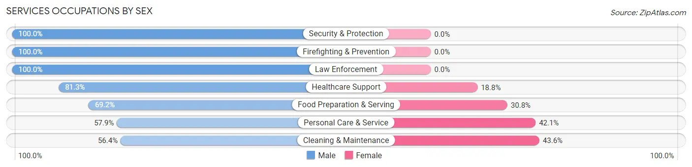 Services Occupations by Sex in Dolores County