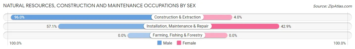 Natural Resources, Construction and Maintenance Occupations by Sex in Hinsdale County