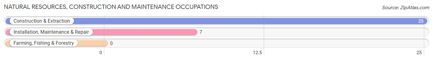 Natural Resources, Construction and Maintenance Occupations in Hinsdale County