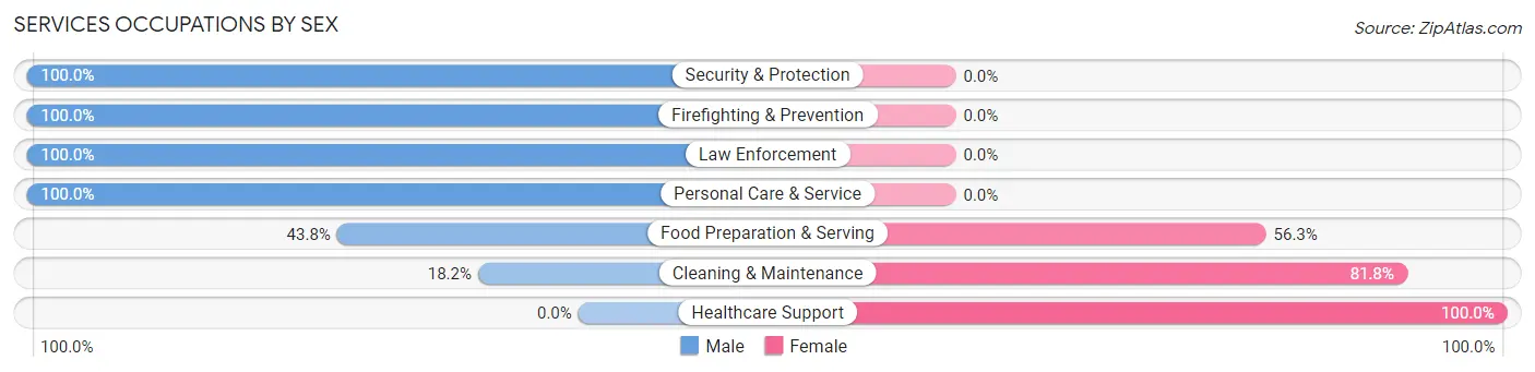 Services Occupations by Sex in Hinsdale County
