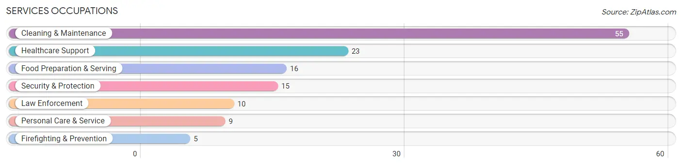 Services Occupations in Hinsdale County