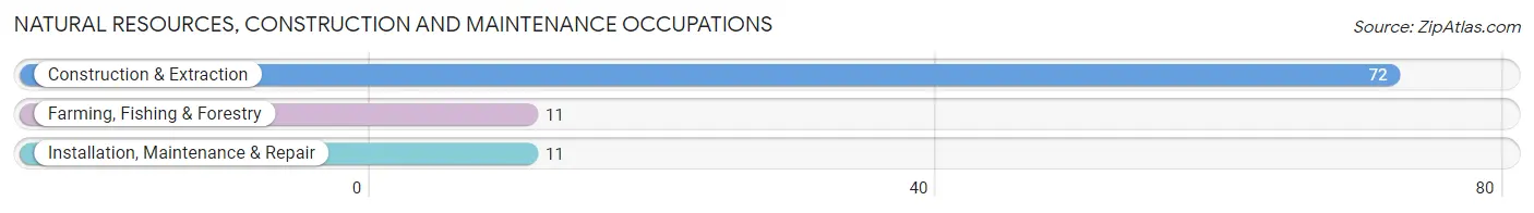 Natural Resources, Construction and Maintenance Occupations in Jackson County