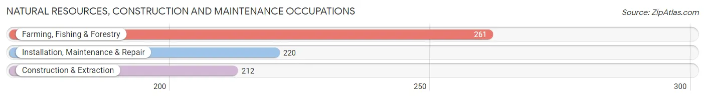 Natural Resources, Construction and Maintenance Occupations in Kit Carson County