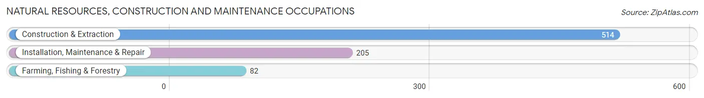 Natural Resources, Construction and Maintenance Occupations in Lake County