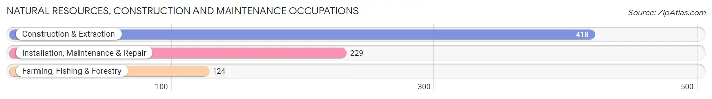 Natural Resources, Construction and Maintenance Occupations in Las Animas County