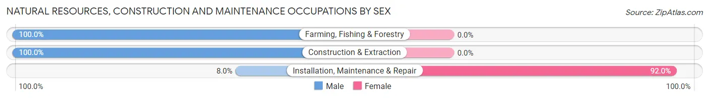 Natural Resources, Construction and Maintenance Occupations by Sex in Mineral County