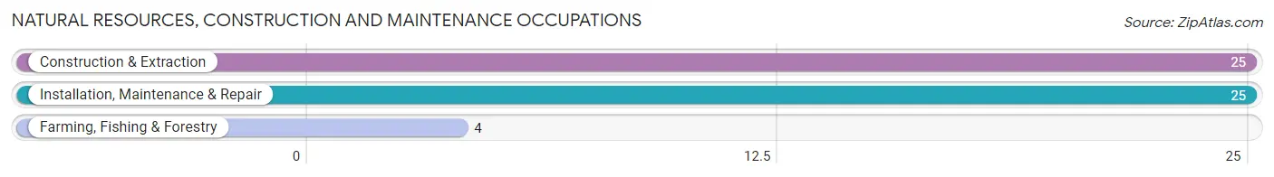 Natural Resources, Construction and Maintenance Occupations in Mineral County