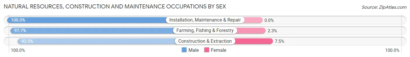 Natural Resources, Construction and Maintenance Occupations by Sex in Ouray County