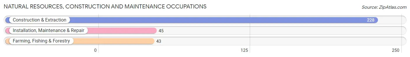 Natural Resources, Construction and Maintenance Occupations in Ouray County