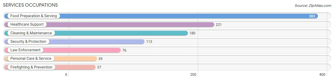 Services Occupations in Rio Grande County