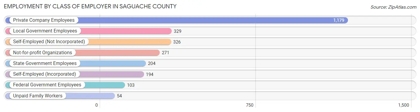 Employment by Class of Employer in Saguache County