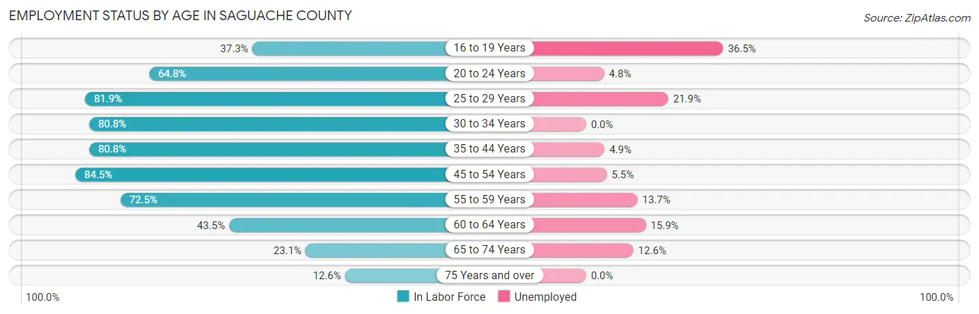 Employment Status by Age in Saguache County