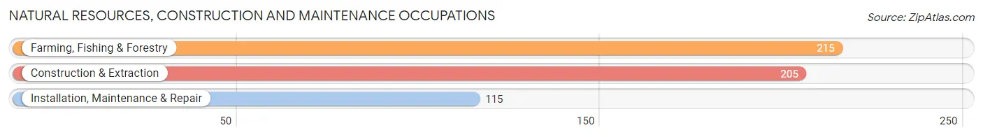 Natural Resources, Construction and Maintenance Occupations in Saguache County