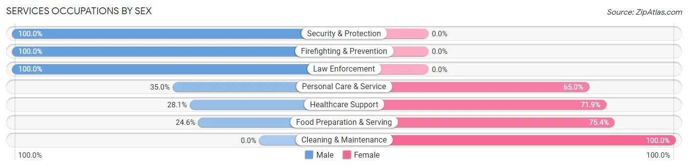 Services Occupations by Sex in Saguache County