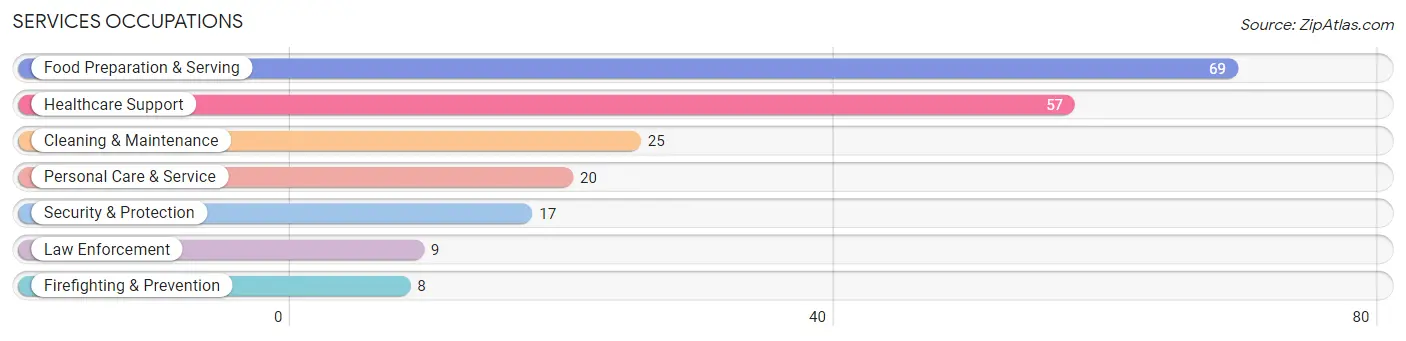 Services Occupations in Saguache County